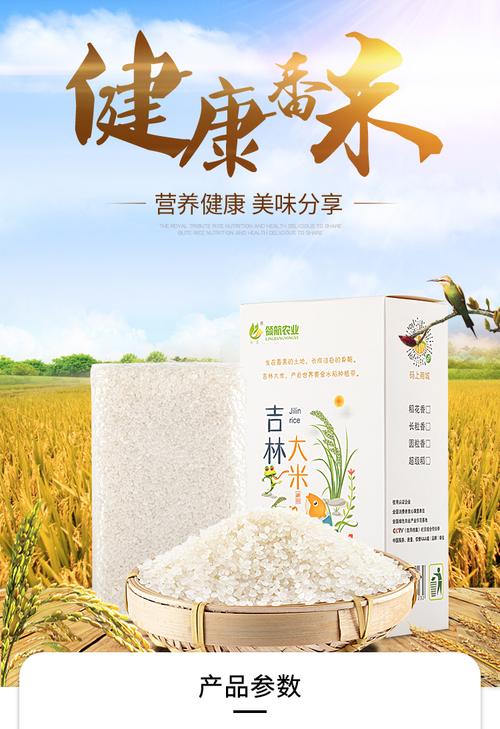 领垚 精选优质东北大米吉林领航梗米无常圆粒珍珠米优选